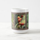 Search for prickly pear mugs Plants