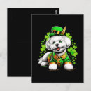 Search for leprechaun postcards Four leaf clover