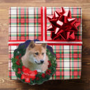Search for shiba inu christmas cards Pets