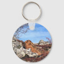 Search for hare key rings Wild animal