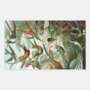 Search for ernst haeckel stickers Nature