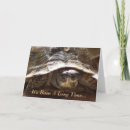 Search for turtle shell cards Reptile