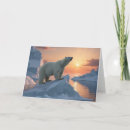 Search for polar bear birthday cards Wildlife