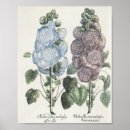 Search for hollyhock posters Vintage
