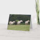 Search for welsh cards Field