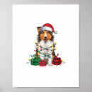 Search for rough collie posters Puppy
