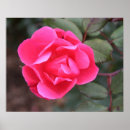 Search for arboretum art Fall