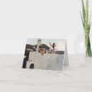 Search for capri cards Modern