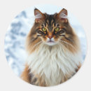 Search for snow cat stickers Pet