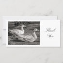 Search for 2 horizontal photocards White
