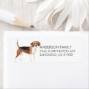 Search for beagles return address labels Dogs