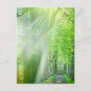 Search for back lit postcards Landscape