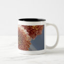 Search for high angle view mugs Vertical