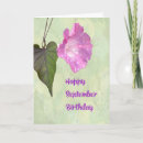 Search for lime birthday cards Colourful