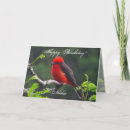 Search for wildlife designs cards For her