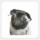 Search for hilarious stickers Playful