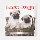 Search for barrell magnets Cute