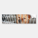 Search for live forever bumper stickers Rescue