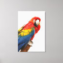 Search for bird pictures canvas prints Wild