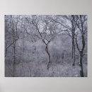 Search for upstate posters Trees