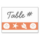 Search for seashells table cards Summer