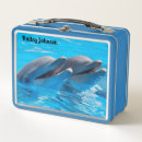 Search for dolphin lunch boxes Ocean