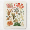 Search for coral reef mouse mats Vintage