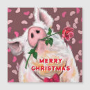 Search for funny pig christmas cards Piggy