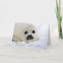 Search for harp cards Seal