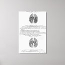 Search for condition art Anatomy