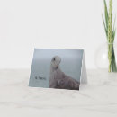 Search for hi hello note cards Thinking of you