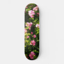 Search for bloom skateboards Pink
