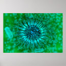 Search for microbiology posters Healthcare