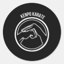 Search for martial arts karate girl stickers Daniel larusso