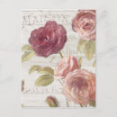 Search for pastel rose postcards Flowers