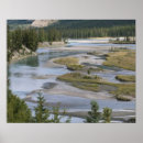 Search for canadian forest posters Reflection