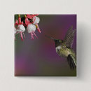 Search for ruby throated badges Motion