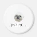 Search for shihtzu magnets Funny