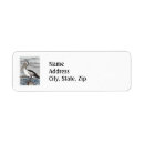 Search for bird return address labels Beach