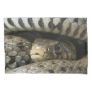 Search for snake pillowcases Reptile