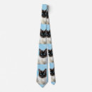 Search for siamese cat ties Kitten