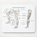 Search for muscles electronics Bones