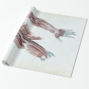 Search for anatomy wrapping paper Vintage