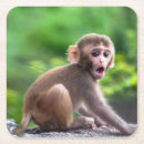Search for baby monkey coasters Cute