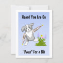 Search for speedy postcards Feel better