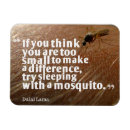 Search for dalai magnets Lama