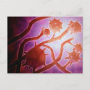 Search for microscopic postcards Growth