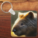 Search for wombat key rings Marsupial