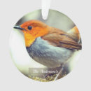 Search for robin bird christmas tree decorations Green