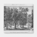 Search for francais magnets Marie